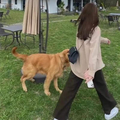 贝比·鲁斯